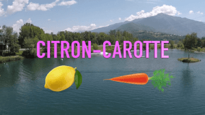 Lee más sobre el artículo Citron-Carotte
